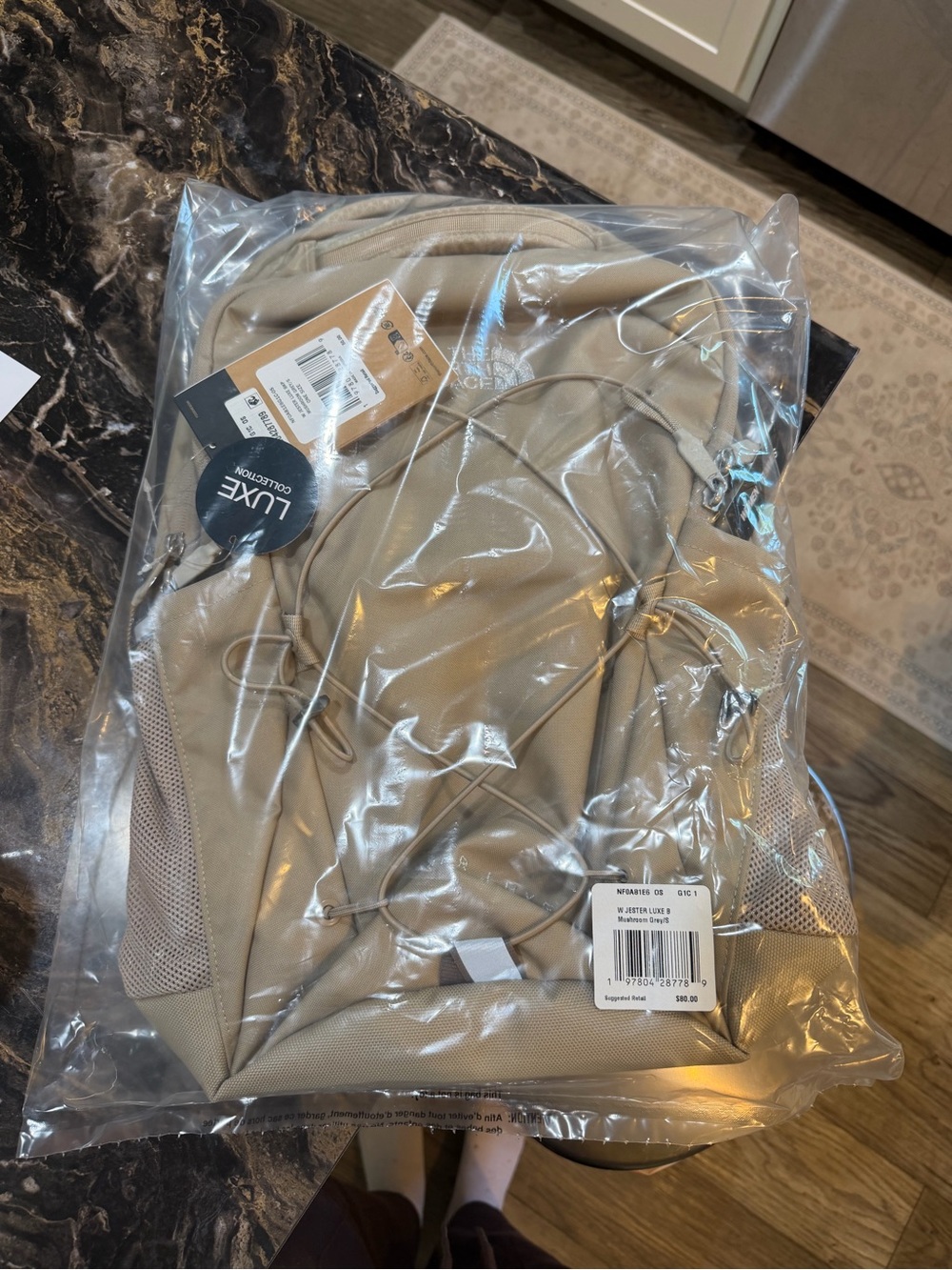 The North Face Jester Backpack